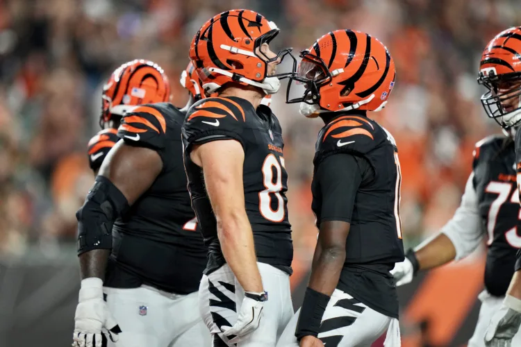Johnson leads Bengals to preseason win